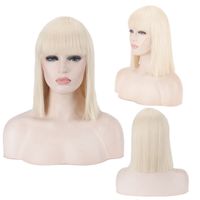 Women's Cute Party Cosplay High Temperature Wire Short Straight Hair Wig Net sku image 5