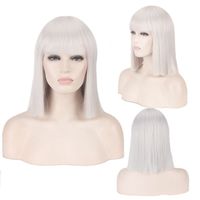 Women's Cute Party Cosplay High Temperature Wire Short Straight Hair Wig Net sku image 2