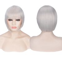 Women's Cute Party Cosplay High Temperature Wire Short Straight Hair Wig Net sku image 19