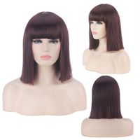 Women's Cute Party Cosplay High Temperature Wire Short Straight Hair Wig Net sku image 6