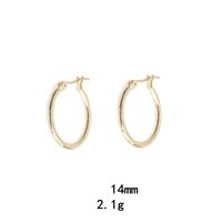 1 Pair Simple Style Oval Plating Alloy Earrings sku image 4