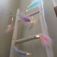Casual Simple Style Feather Pvc Indoor Party Lightings sku image 3