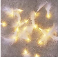 Casual Simple Style Feather Pvc Indoor Party Lightings main image 1