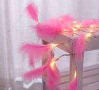 Casual Simple Style Feather Pvc Indoor Party Lightings main image 4