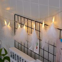 Casual Simple Style Feather Pvc Indoor Party Lightings main image 3