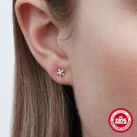 1 Pair Simple Style Geometric Round Flower Plating Inlay Sterling Silver Zircon Ear Studs main image 6
