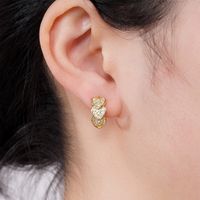 1 Pair Sweet Heart Shape Inlay Copper Zircon Earrings main image 4