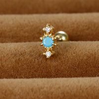 1 Piece Ig Style Simple Style Round Plating Inlay Stainless Steel Zircon Ear Studs main image 4