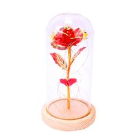 Cute Sweet Flower Plastic Casual Daily Bouquet main image 2