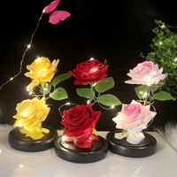 Weihnachten Valentinstag Muttertag Süß Süss Blume Glas Flanell Abschluss Gruppe Datum Ornamente main image 5