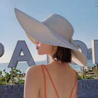 Women's Simple Style Color Block Wide Eaves Straw Hat sku image 2