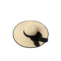 Women's Simple Style Color Block Wide Eaves Straw Hat main image 2
