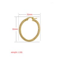 1 Pair Simple Style Round Plating Inlay Copper Zircon 18k Gold Plated Hoop Earrings Ear Studs main image 3