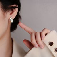 1 Pair Simple Style Classic Style Leaf Copper Ear Studs main image 2