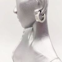 1 Pair Simple Style Solid Color Stainless Steel Earrings main image 8