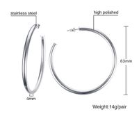 1 Pair Simple Style Solid Color Stainless Steel Earrings sku image 5