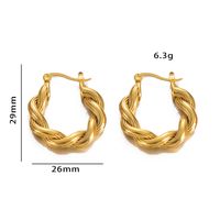1 Pair Elegant Simple Style Geometric Irregular Plating Stainless Steel Hoop Earrings main image 6
