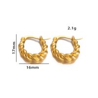 1 Pair Elegant Simple Style Geometric Irregular Plating Stainless Steel Hoop Earrings main image 3
