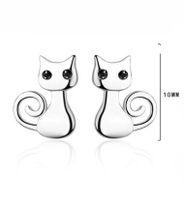 1 Pair Cute Cat Plating Inlay Copper Zircon White Gold Plated Ear Studs main image 2