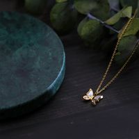 304 Stainless Steel 18K Gold Plated Romantic Classic Style Plating Inlay Butterfly Shell Pendant Necklace main image 4