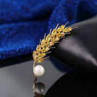 Elegant Luxurious Grain Brass Inlay Zircon Women's Brooches 1 Piece sku image 1