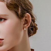 1 Pair Simple Style Commute Geometric Inlay Sterling Silver Gem Earrings main image 7