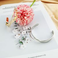 1 Piece Simple Style Solid Color Metal Women's Bangle main image 5