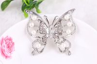 Sweet Butterfly Alloy Inlay Artificial Gemstones Women's Brooches main image 2