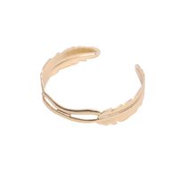 1 Piece Fashion Leaf Metal Hollow Out Women's Bangle main image 5