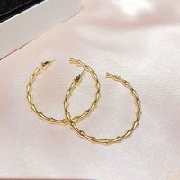 Exaggerated Round Copper Plating Hoop Earrings 1 Pair main image 2