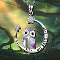 1 Pièce Mode Lettre Forme De Cœur Hibou Alliage Incruster Strass La Saint-valentin Femmes Collier main image 4