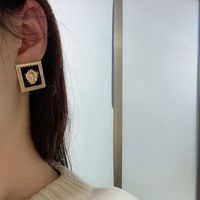 1 Pair Fashion Lion Alloy Enamel Plating Women's Drop Earrings Ear Studs main image 5