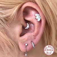 1 Pièce Mode Pétale Argent Placage Incruster Zircon Piercing Au Nez main image 5