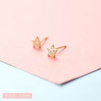 Lady Crown Bow Knot Sterling Silver Plating Inlay Zircon Ear Studs 1 Pair sku image 21
