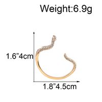 1 Pair Vacation Modern Style Simple Style Snake Alloy Plating Artificial Rhinestones Women's Earrings main image 3