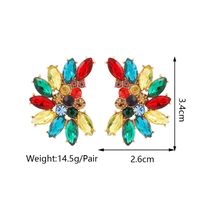 1 Pair Fashion Water Droplets Rhinestone Inlay Zircon Women's Earrings main image 6