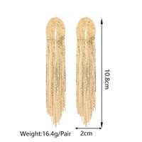 1 Pair Simple Style Solid Color Alloy Tassel Women's Earrings main image 8