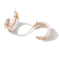 1 Pair Fashion Geometric Imitation Pearl Metal Plating Women's Earrings main image 5