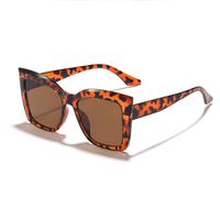 Fashion Solid Color Pc Resin Cat Eye Full Frame Women's Sunglasses main image 7