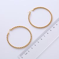 1 Pair Exaggerated Spiral Stripe Twist Stainless Steel 18k Gold Plated Hoop Earrings main image 5