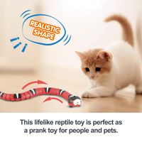 Creative Children's Interactive Electric Induction Snake Tricky Toy main image 4