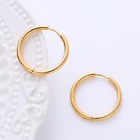 1 Pair Casual Classic Style Commute Hexagon Quadrilateral Circle Stainless Steel Plating Metal Earrings sku image 1
