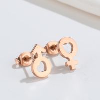1 Pair Fashion Star Moon Wings Titanium Steel Asymmetrical Plating Hollow Out Ear Studs sku image 24