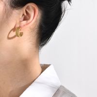 1 Pair Lady Geometric Stainless Steel Plating Earrings main image 6
