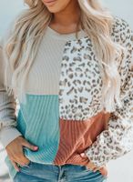 Women's Hoodie Long Sleeve Hoodies & Sweatshirts Printing Fashion Streetwear Leopard main image 5
