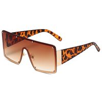 Exaggerated Geometric Pc Square Frameless Women's Sunglasses main image 4