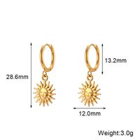 1 Pair Simple Style Sun Stainless Steel Plating Drop Earrings sku image 1