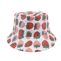 Children Unisex Cute Dinosaur Unicorn Watermelon Bucket Hat sku image 8