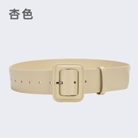 Casual Solid Color Leather Buckle Women's Leather Belts 1 Piece sku image 38