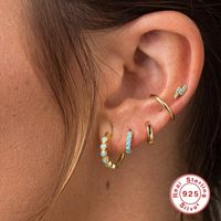 1 Set Simple Style Round Plating Inlay Sterling Silver Turquoise Earrings main image 5